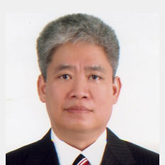 Vice General Director